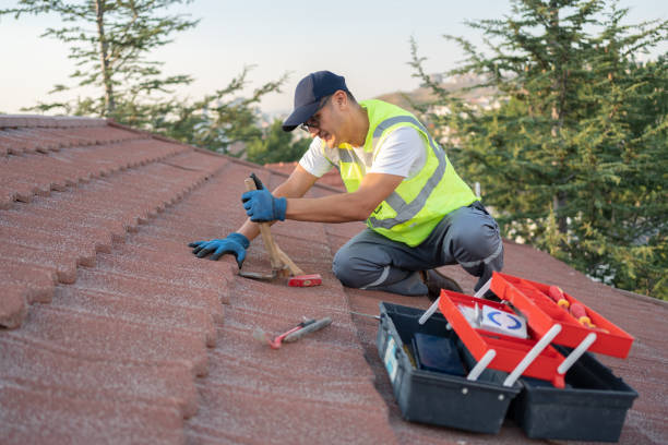 Best Roof Gutter Cleaning  in Red Bank, NJ